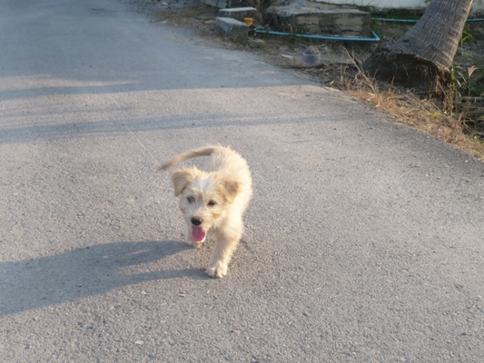 Zoom ++ Click