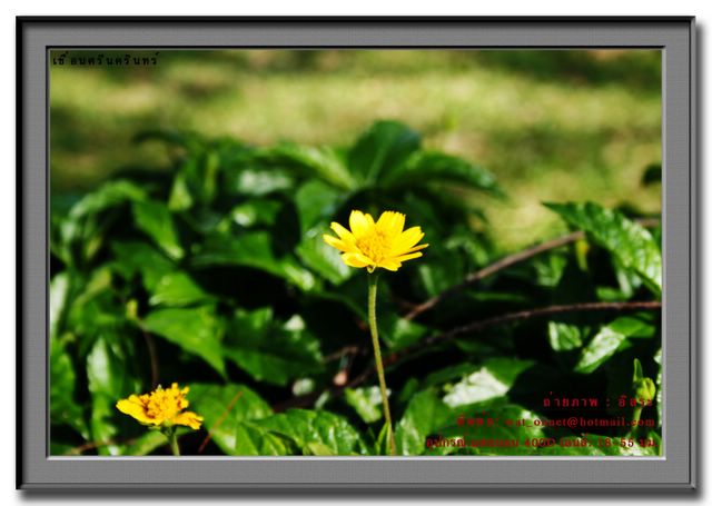 Zoom ++ Click