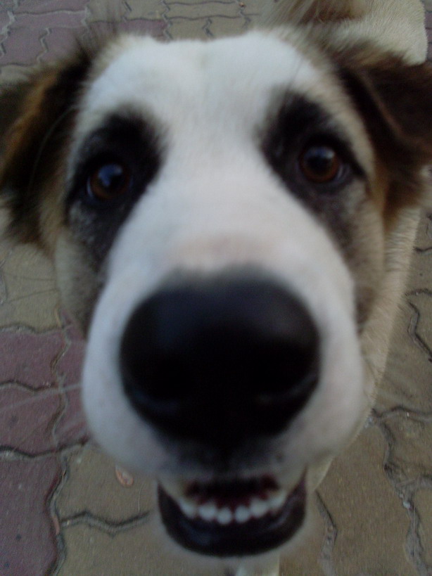 Zoom ++ Click