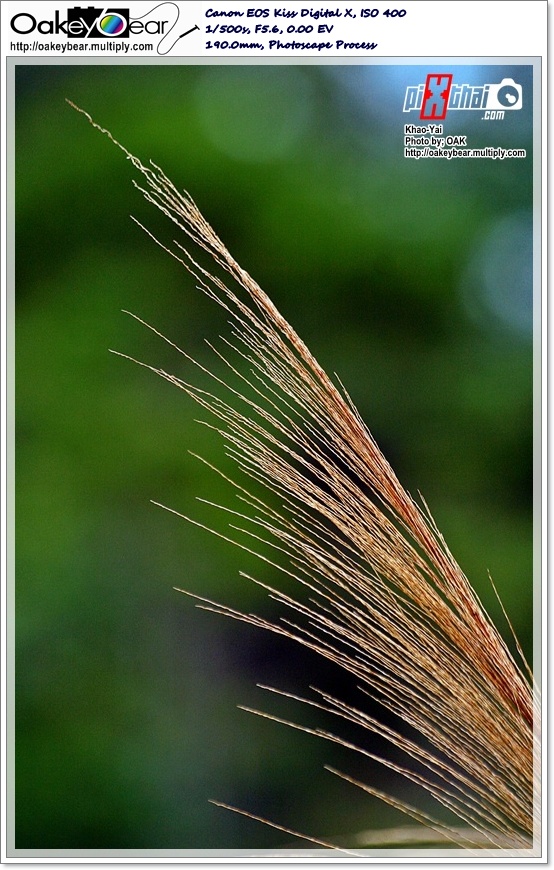 Zoom ++ Click