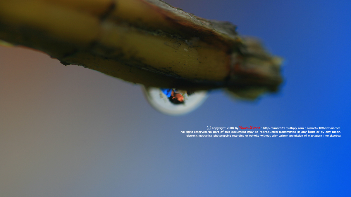 Zoom ++ Click
