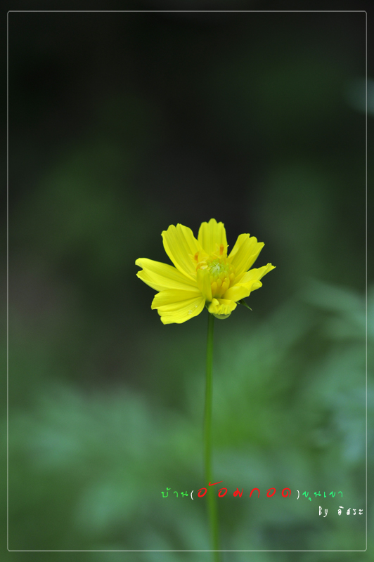 Zoom ++ Click