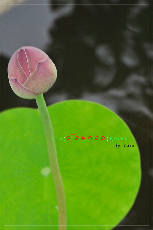 Zoom ++ Click