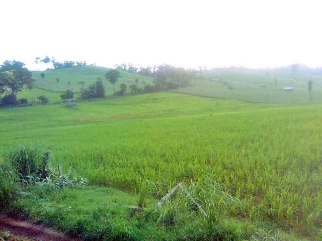Zoom ++ Click