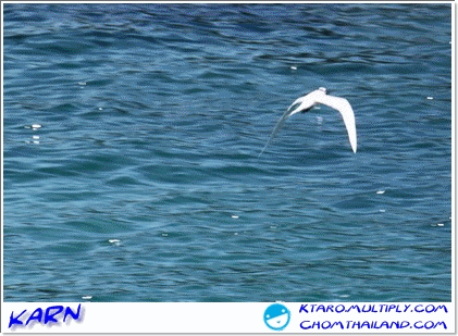 Zoom ++ Click