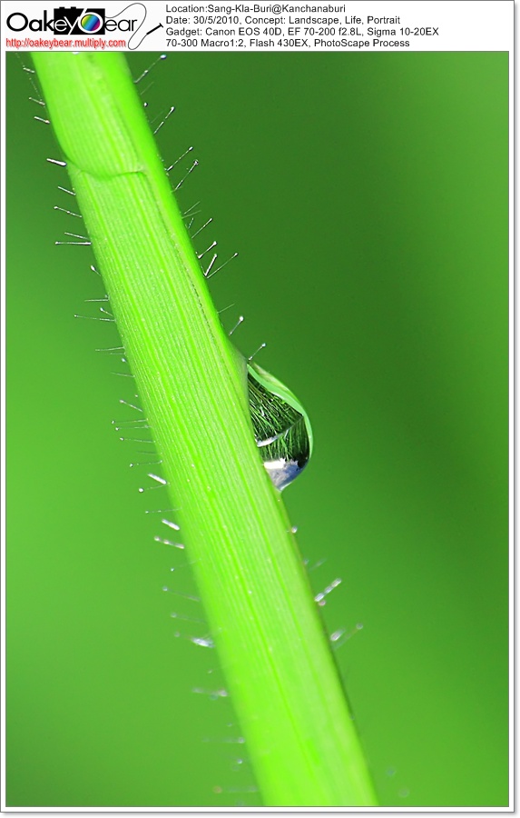 Zoom ++ Click