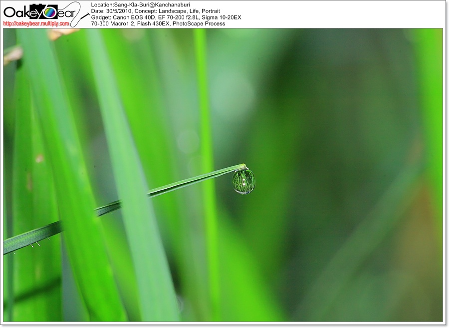 Zoom ++ Click