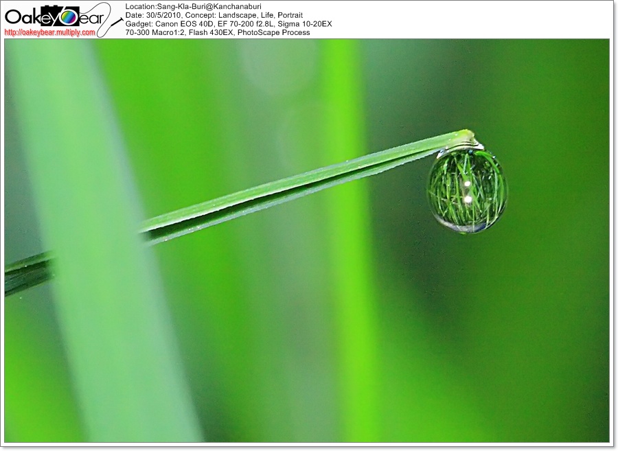 Zoom ++ Click