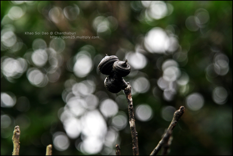 Zoom ++ Click