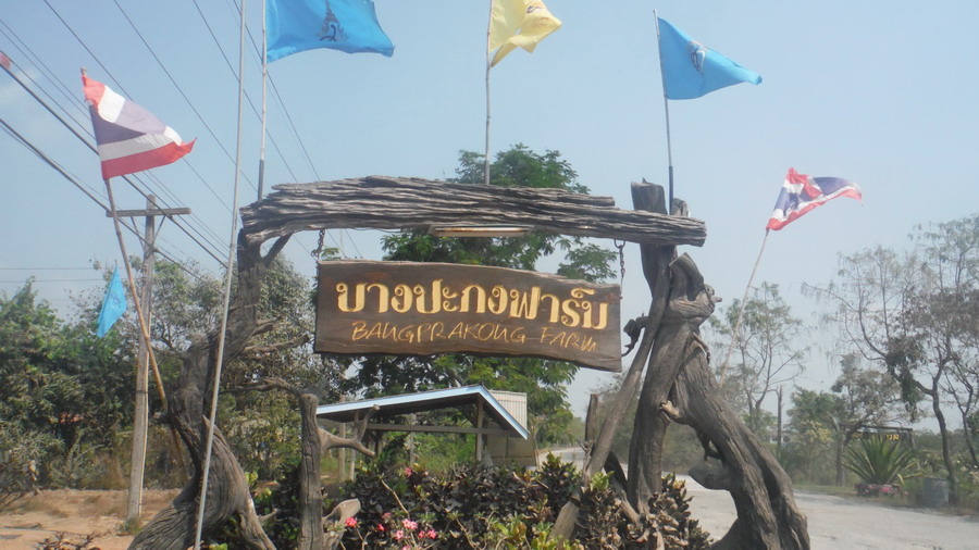 ทางเข้าบางปะกงฟาร์ม