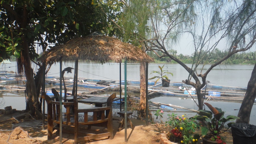 ร้านอาหาร ฟาร์มปลา