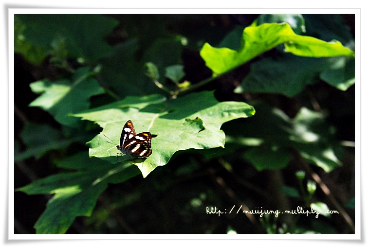 Zoom ++ Click